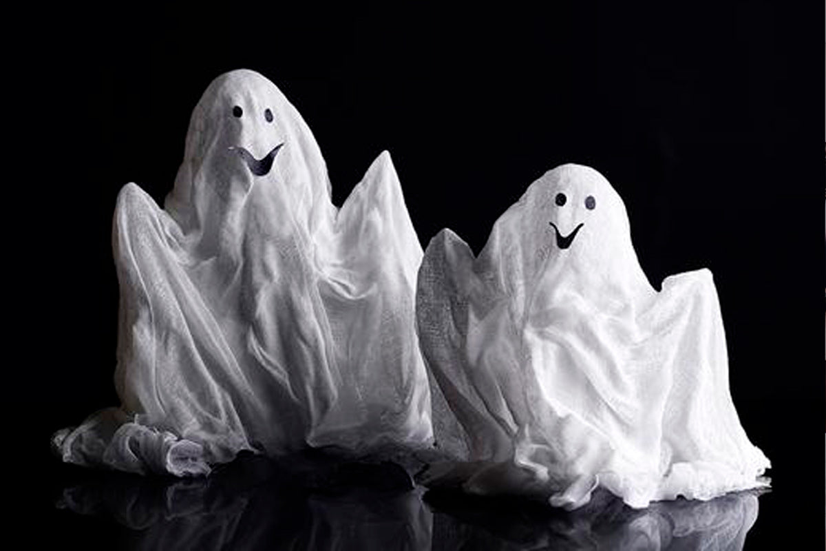 Homemade Halloween Costumes