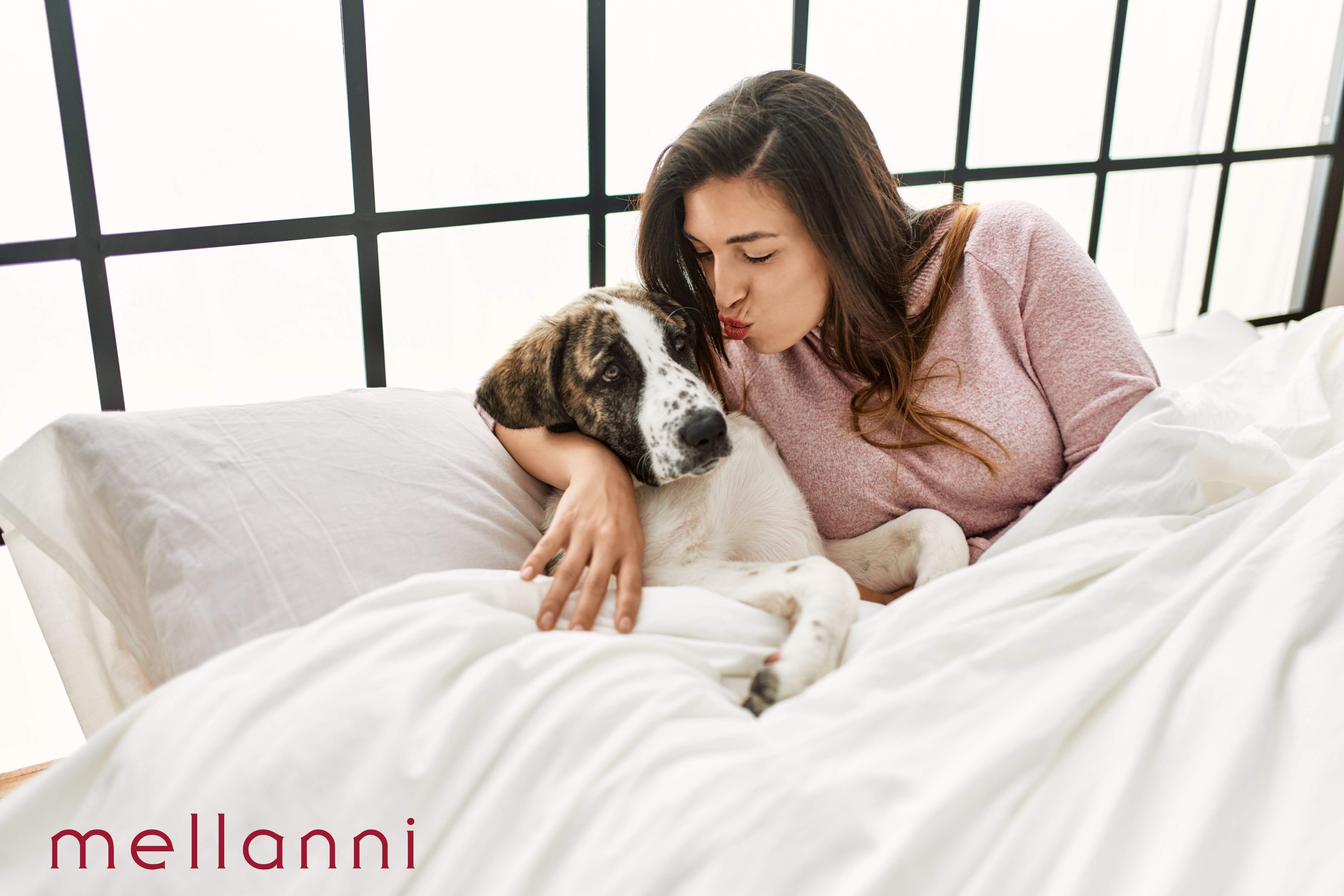 Sleeping With Your Pet