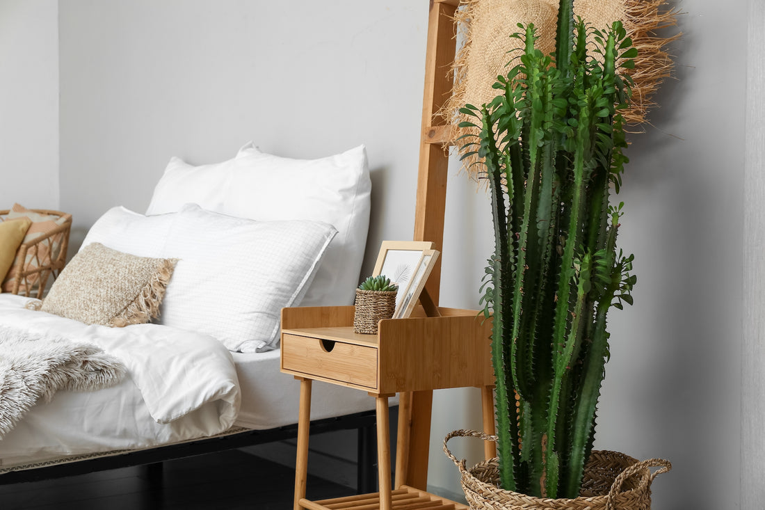 Valentine's Day Bedding Gift Guide
