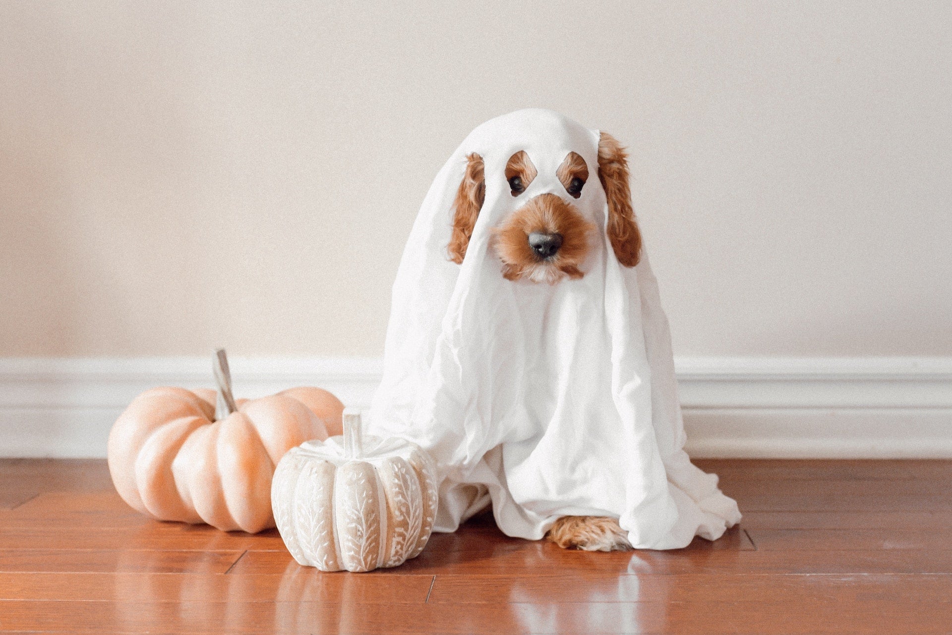 5 Sleep-Themed Halloween Costumes So You Don't Resort to Cutting Holes in Our Sheets